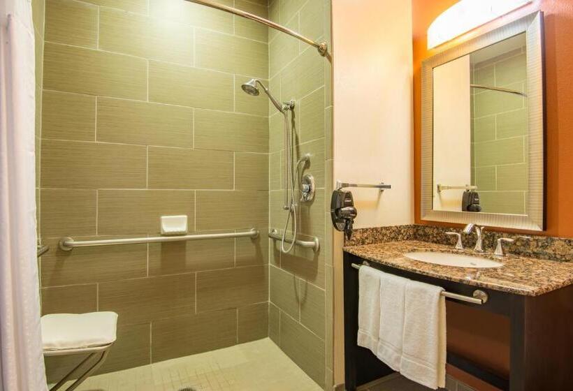 Holiday Inn Express Hotel & Suites Hobbs By Ihg