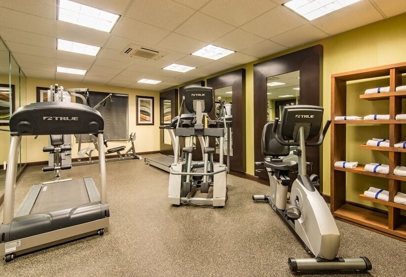 Holiday Inn Express Hotel & Suites Hobbs By Ihg