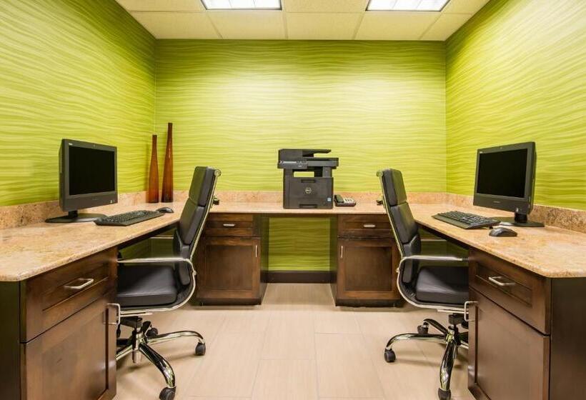 Holiday Inn Express Hotel & Suites Hobbs By Ihg