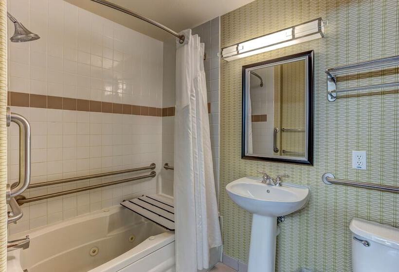 Holiday Inn Express Hotel & Suites Montrose   Black Canyon Area, An Ihg