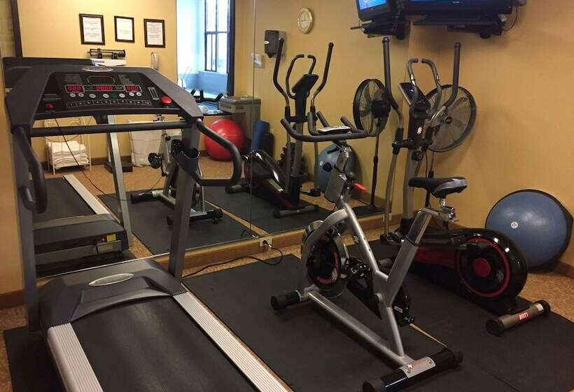 Holiday Inn Express Hotel & Suites Fenton/i 44, An Ihg