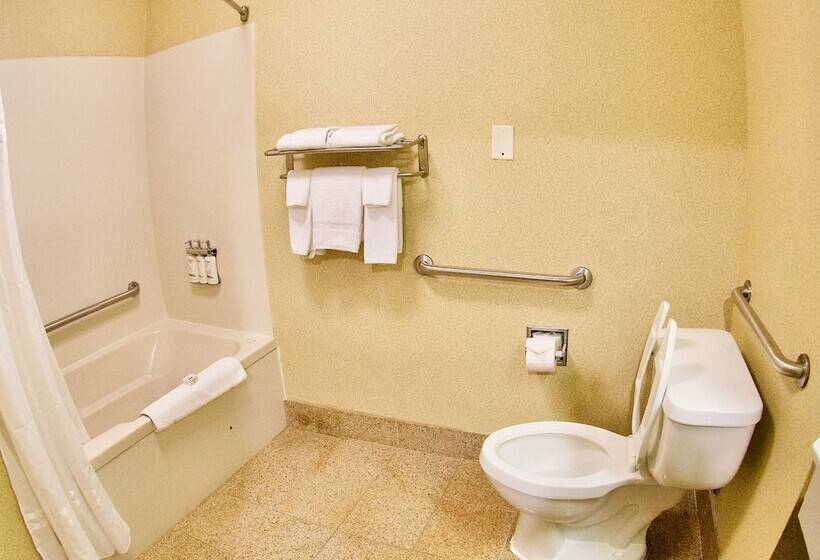 Holiday Inn Express Hotel & Suites Fenton/i 44, An Ihg