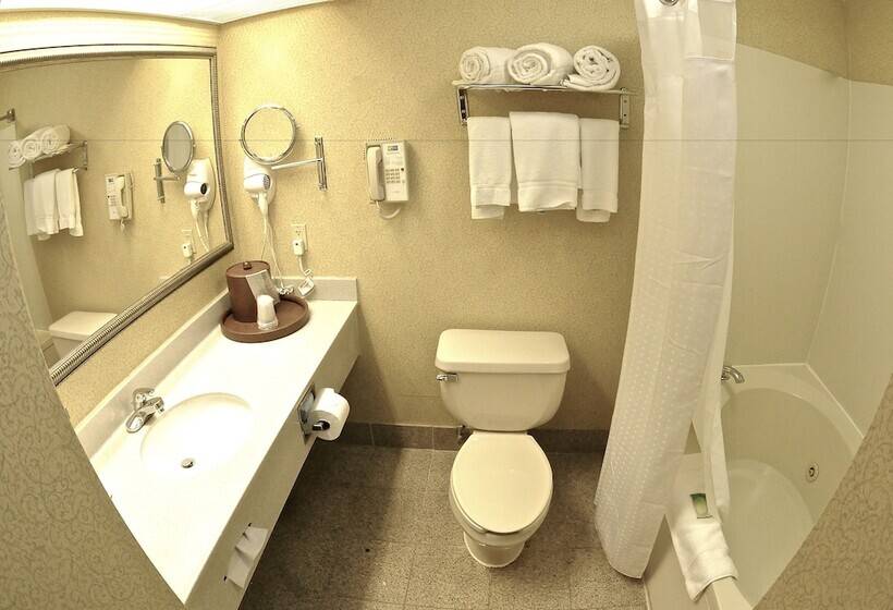 Holiday Inn Express Hotel & Suites Fenton/i 44, An Ihg