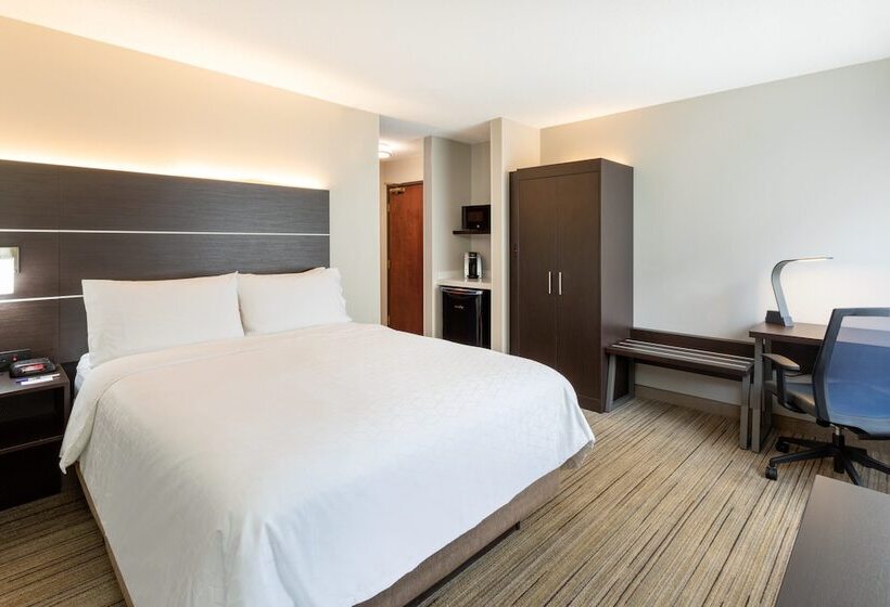 Holiday Inn Express Hotel & Suites Minneapolis Downtown Convention Center, An Ihg