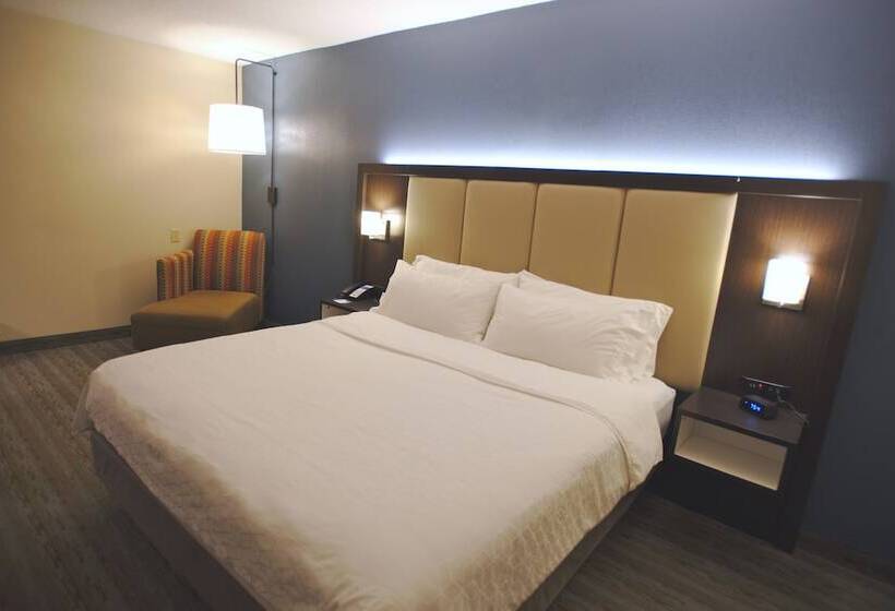 酒店 Holiday Inn Express Anderson I 85 Exit 27 Highway 81, An Ihg