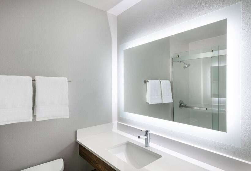 ホテル Holiday Inn Express & Suites Colorado Springs Airport, An Ihg