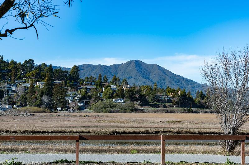 Отель Holiday Inn Express Mill Valley San Francisco Area, An Ihg