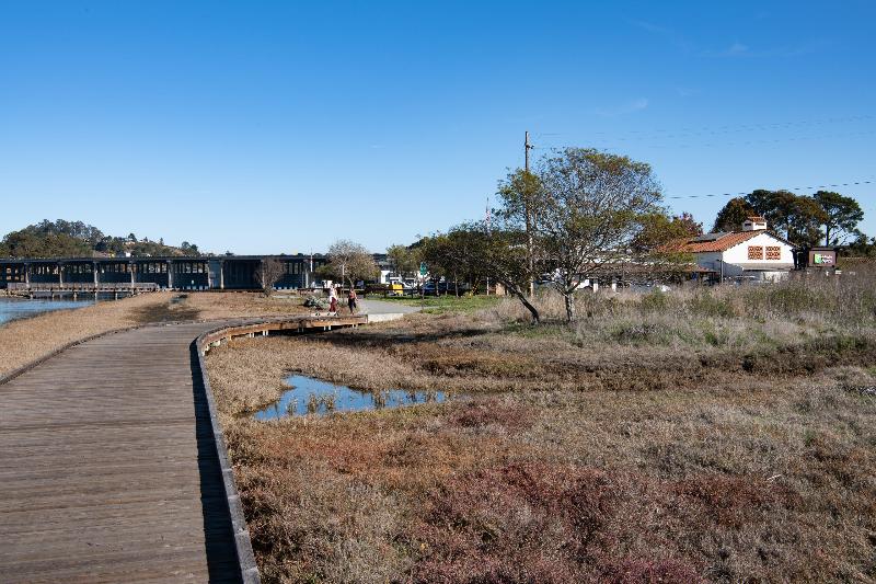 Отель Holiday Inn Express Mill Valley San Francisco Area, An Ihg