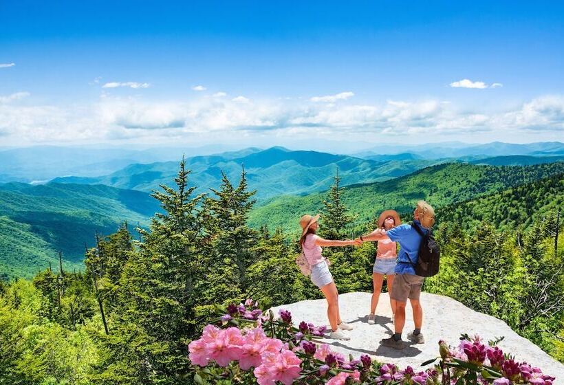 فندق Holiday Inn Express & Suites Asheville Sw   Outlet Ctr Area, An Ihg