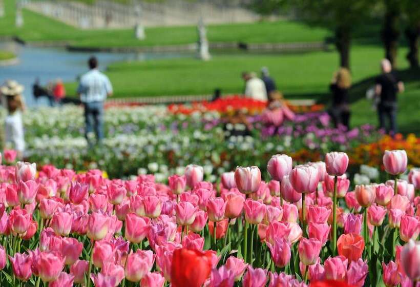 فندق Holiday Inn Express & Suites Asheville Sw   Outlet Ctr Area, An Ihg