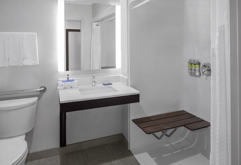 فندق Holiday Inn Express & Suites Asheville Sw   Outlet Ctr Area, An Ihg