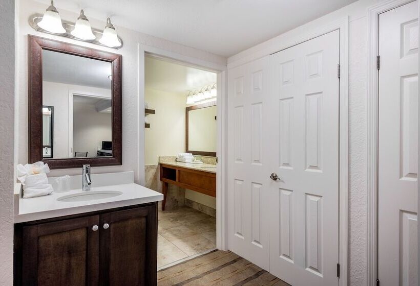 호텔 Holiday Inn Fort Lauderdale Airport, An Ihg