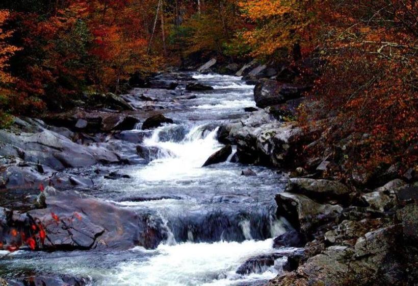 Отель Inn Of Loudon