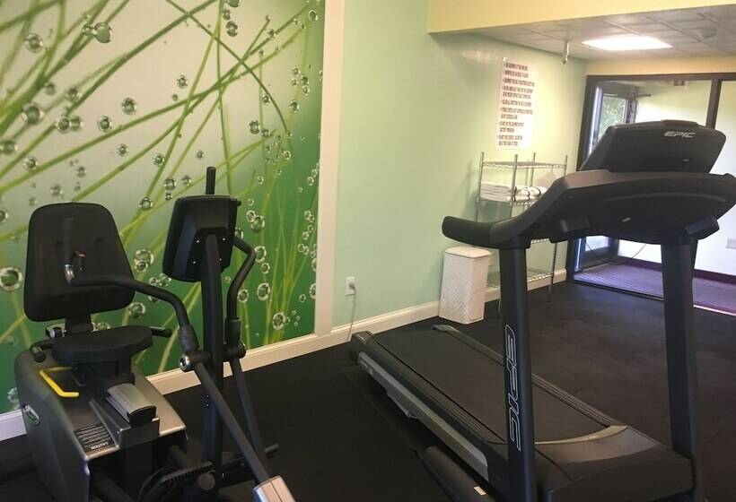 فندق Mountain Inn & Suites