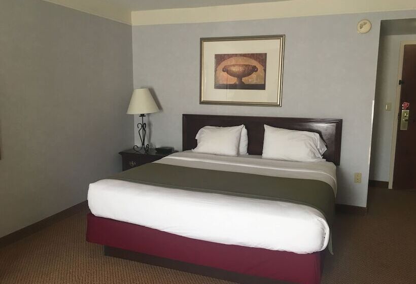 호텔 Mountain Inn & Suites