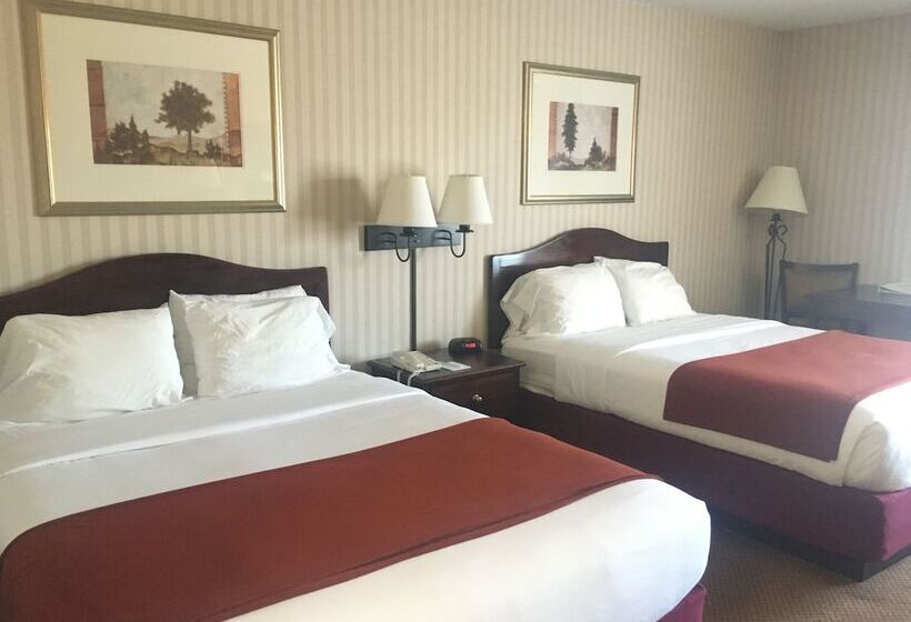 فندق Mountain Inn & Suites