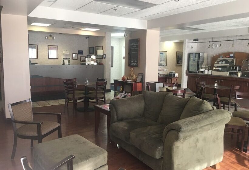 فندق Mountain Inn & Suites