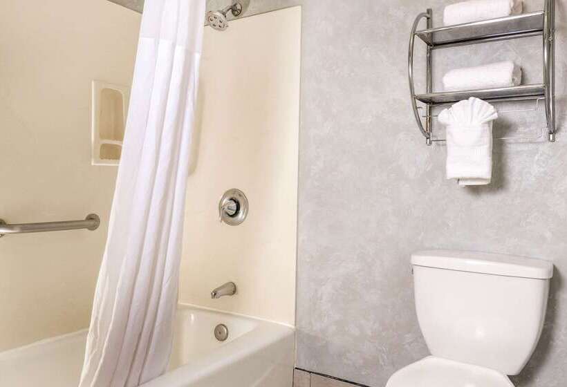 هتل Quality Inn & Suites Lathrop