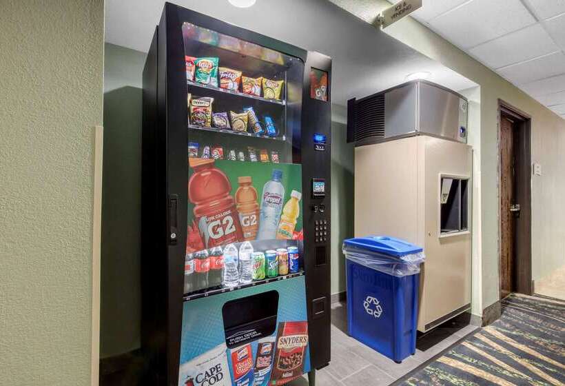 فندق Quality Inn