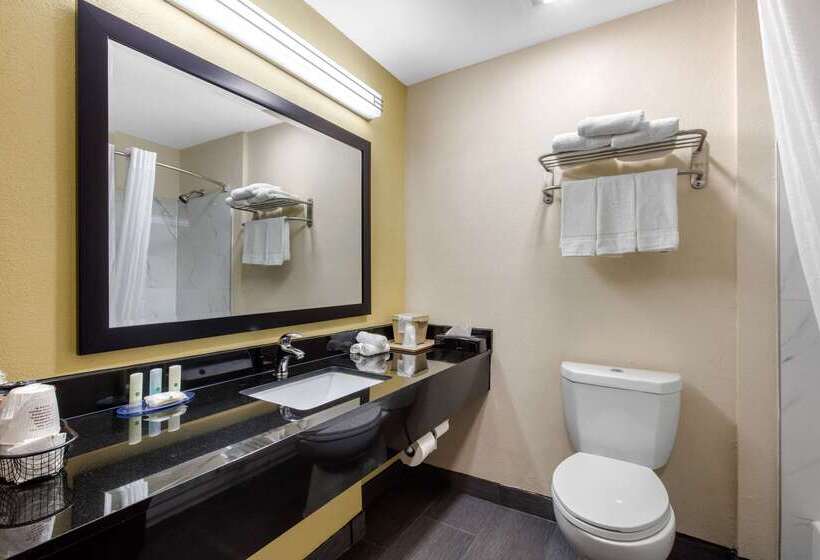 فندق Quality Inn