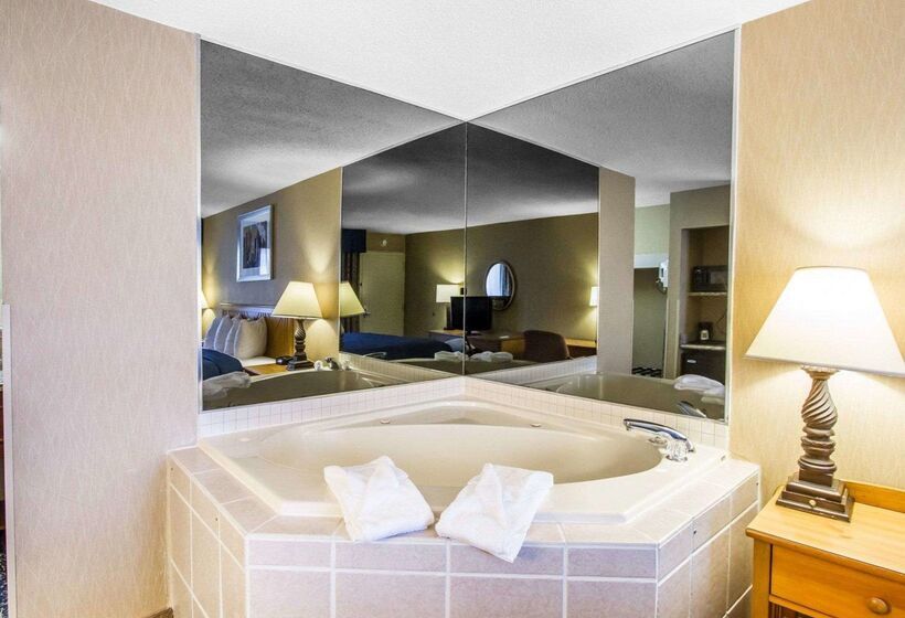 酒店 Quality Inn Deming