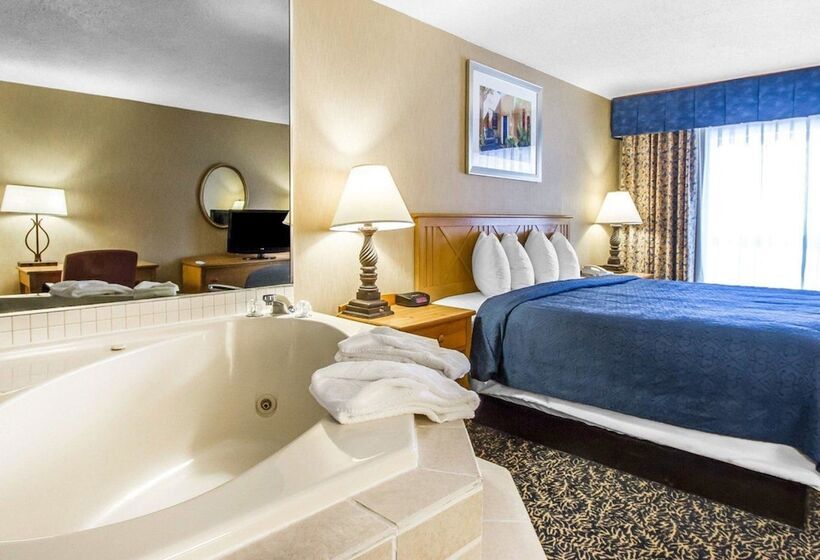 酒店 Quality Inn Deming