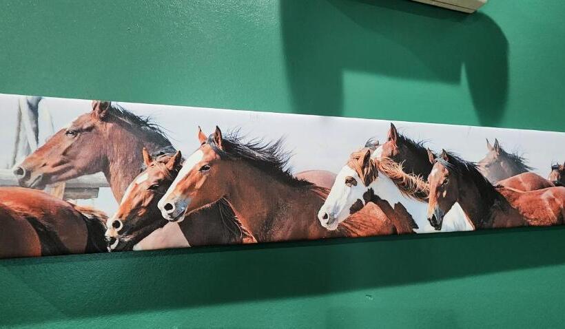 فندق Quality Inn