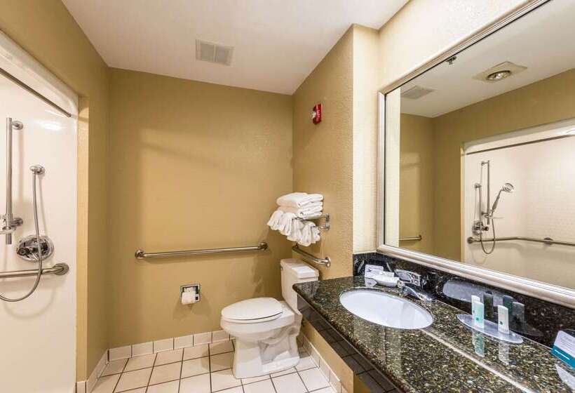 ホテル Quality Inn & Suites Hendersonville  Flat Rock