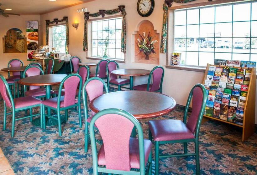 酒店 Quality Inn & Suites Las Cruces  University Area