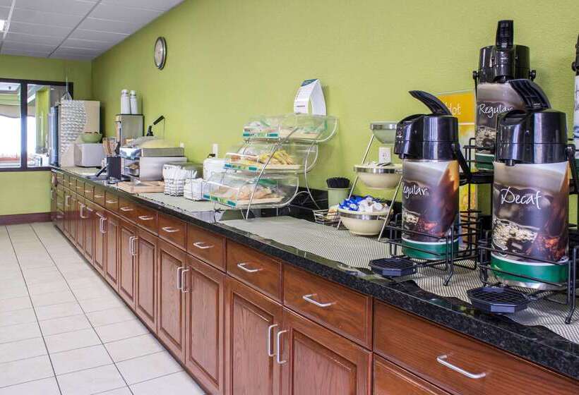 酒店 Quality Inn & Suites