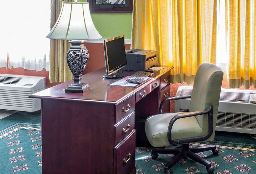 酒店 Quality Inn & Suites