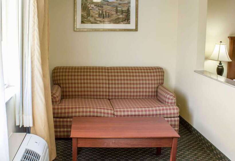 酒店 Quality Inn & Suites