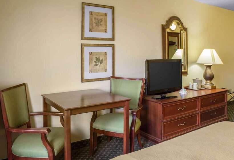 酒店 Quality Inn & Suites