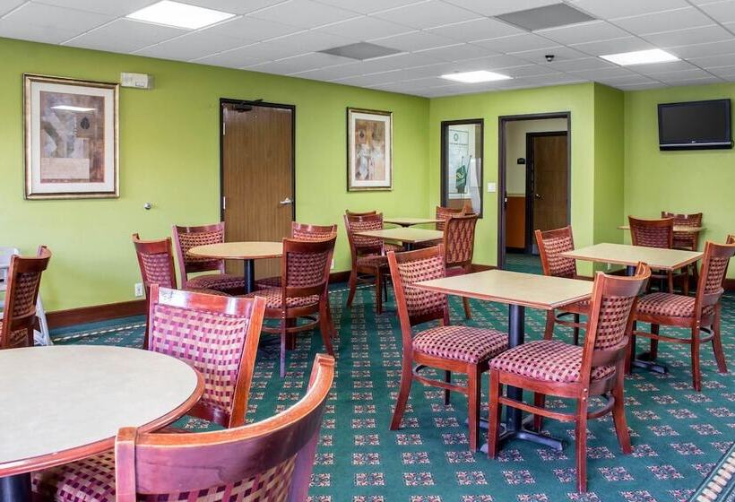 酒店 Quality Inn & Suites