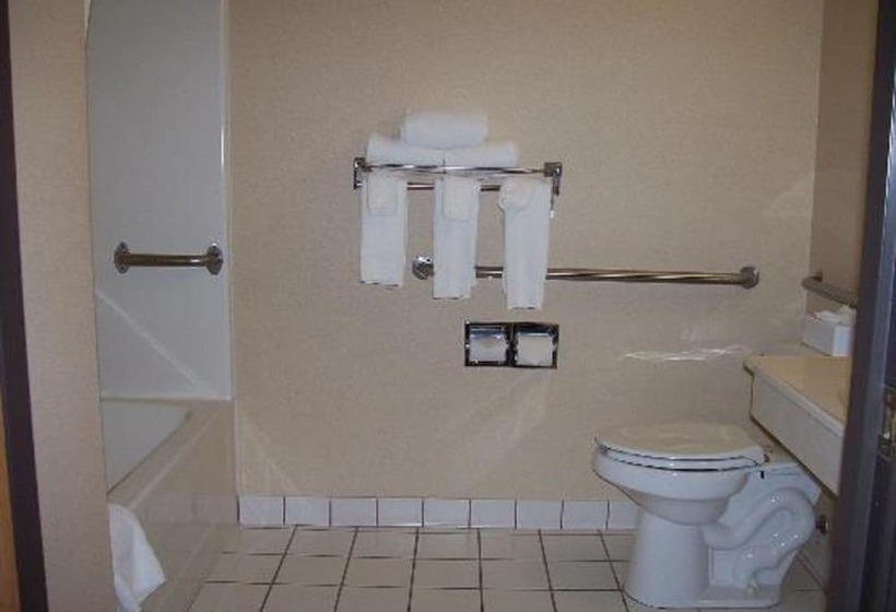 酒店 Quality Inn & Suites