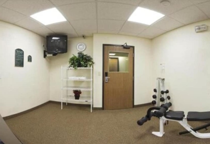 酒店 Quality Inn & Suites