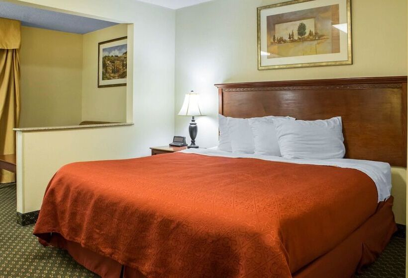 酒店 Quality Inn & Suites