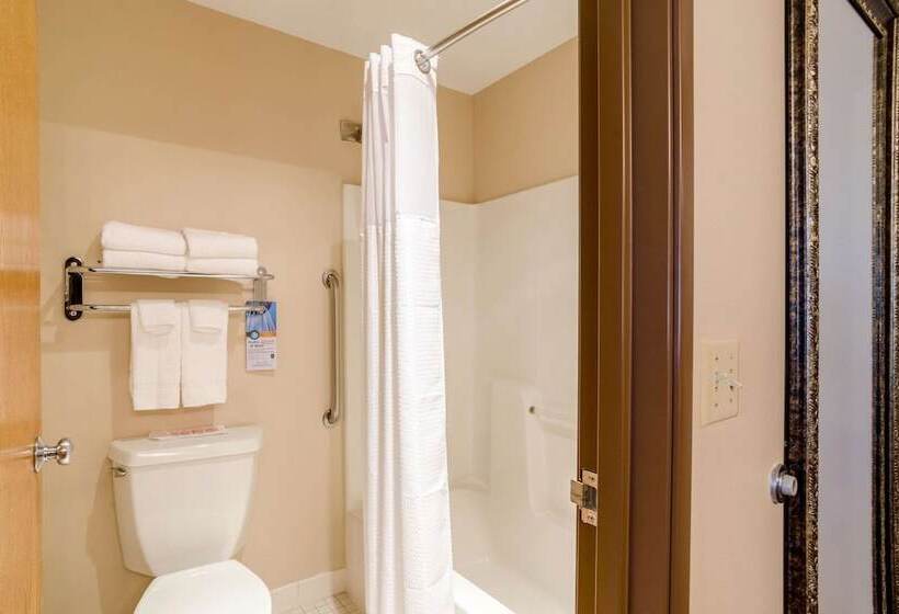 בית מלון כפרי Qualityinn, Alliance