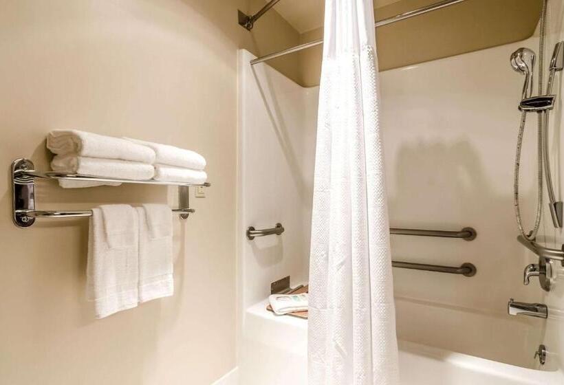 בית מלון כפרי Qualityinn, Alliance