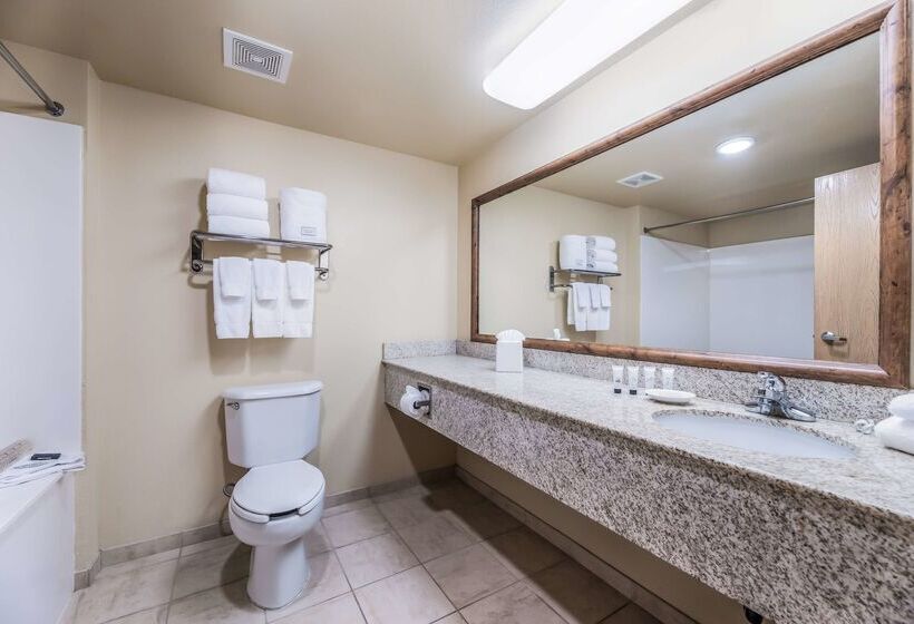 בית מלון כפרי Red Lion Inn & Suites Goodyear