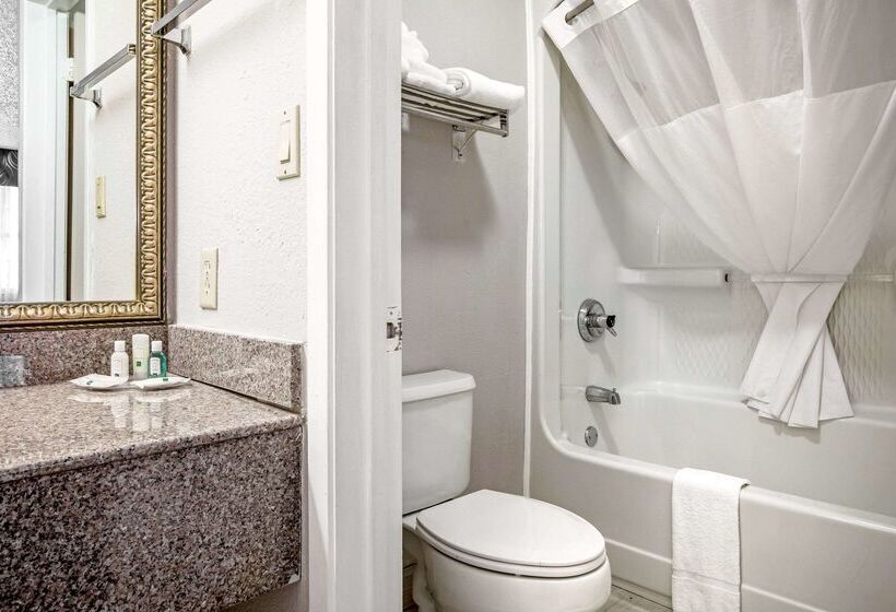 호텔 Quality Inn & Suites