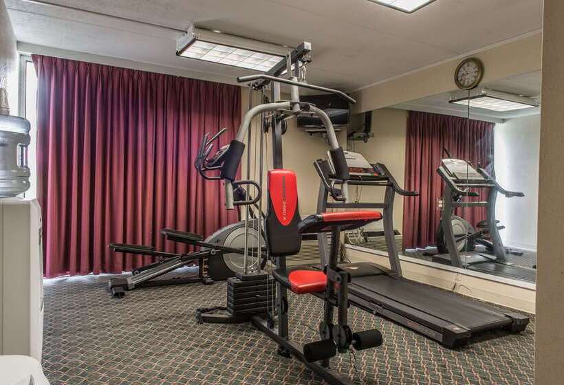 Отель Rodeway Inn