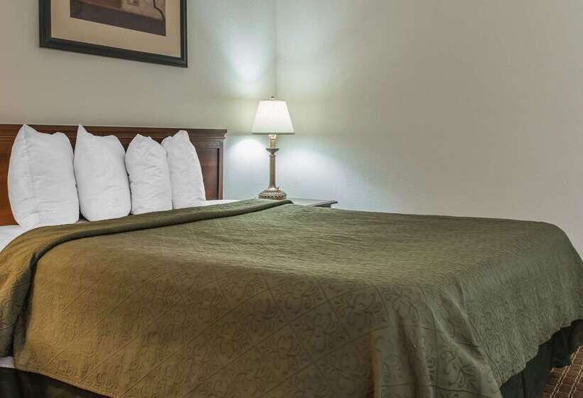 Отель Rodeway Inn