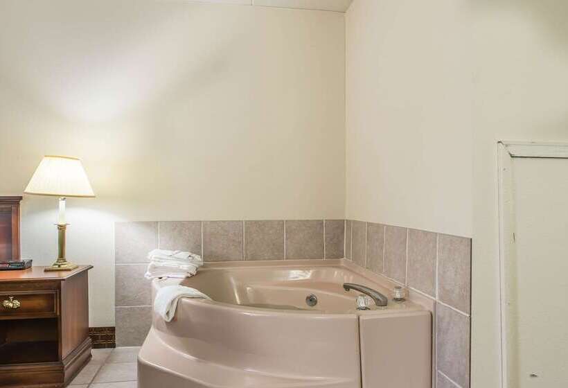 Отель Rodeway Inn