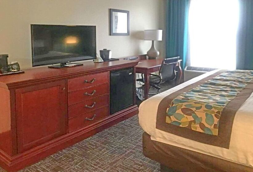 酒店 Rodeway Inn & Suites
