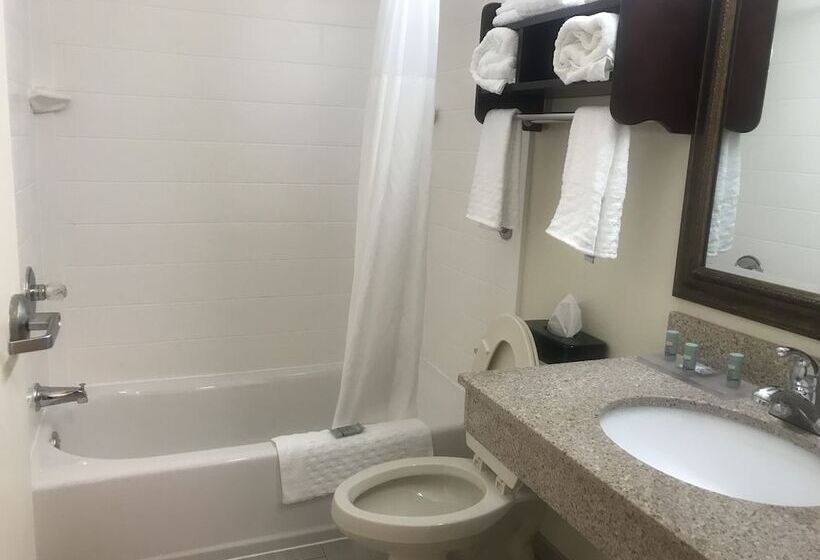 酒店 Rodeway Inn & Suites