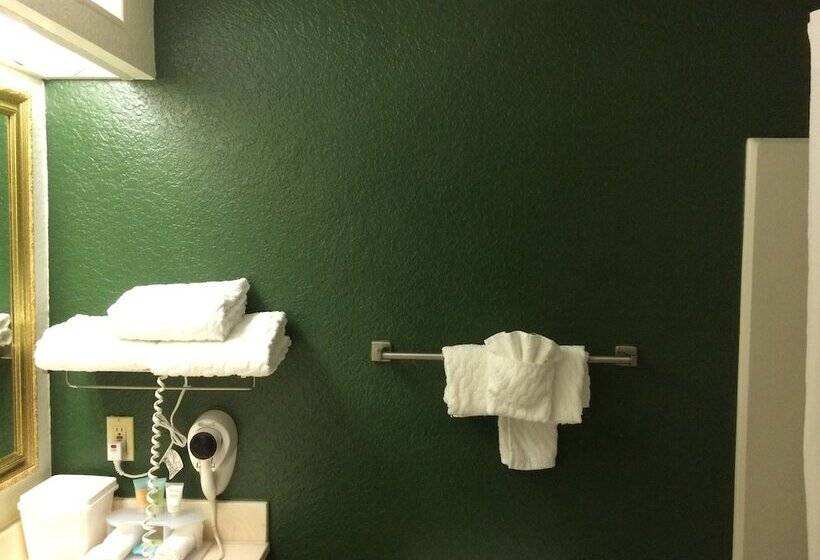 فندق Ruskin Inn Tampasun City Center