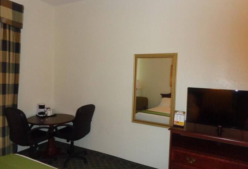 فندق Ruskin Inn Tampasun City Center