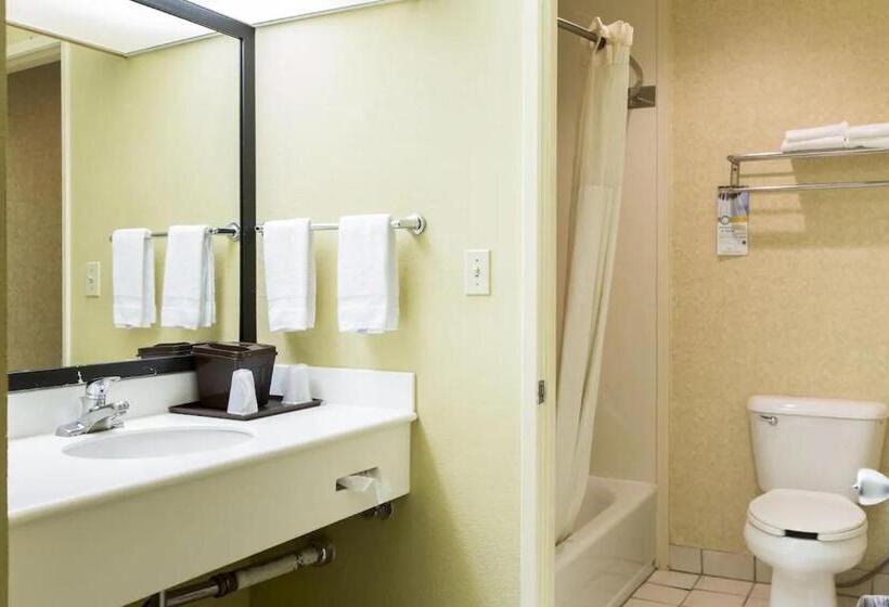 فندق Silver Lake