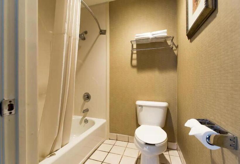 فندق Silver Lake